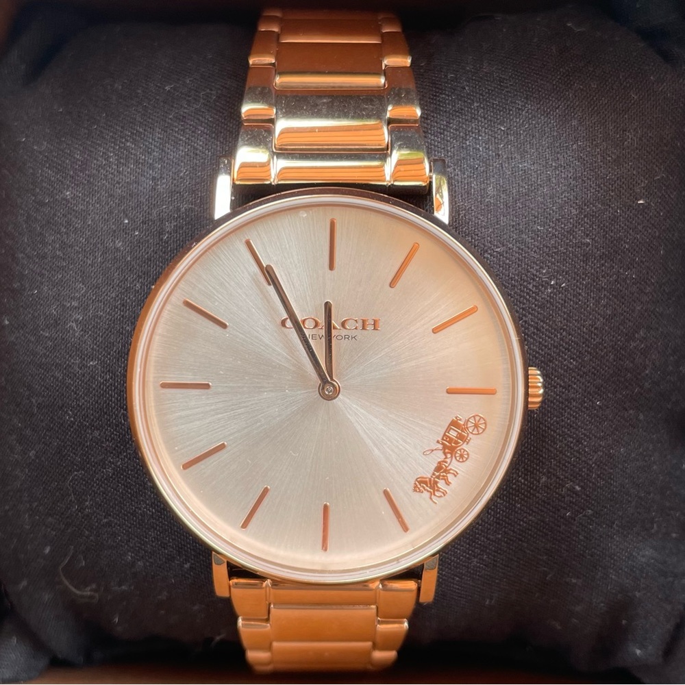 NWT Coach Watch